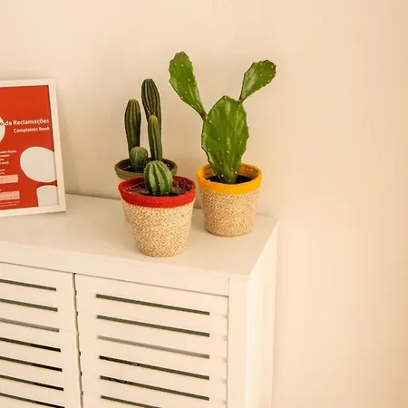 Casa Abelha Appartement Armação de Pêra Buitenkant foto